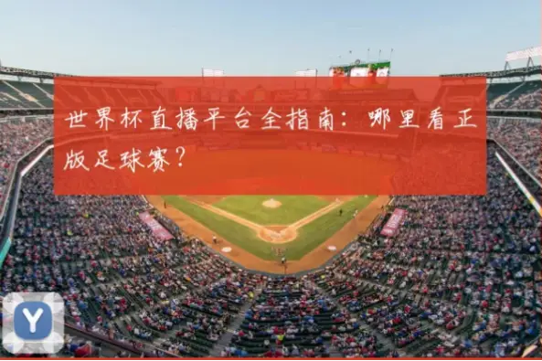 世界杯比赛直播在哪里看？正版渠道指南